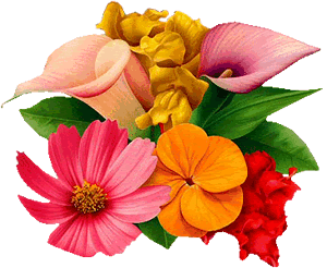 http://cliparts.toutimages.com/nature/bouquets/004.gif