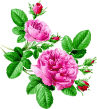 Images Cliparts gifs Roses.