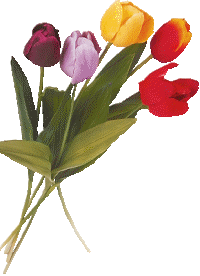 http://cliparts.toutimages.com/nature/tulipes/001.gif