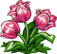 http://cliparts.toutimages.com/nature/tulipes/002.gif
